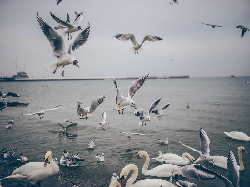 sudoku pattern recognition screenshot 4